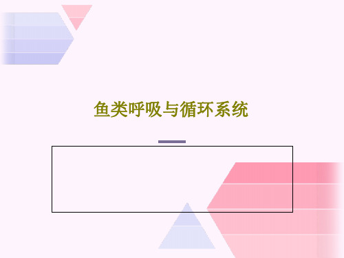 鱼类呼吸与循环系统共78页文档