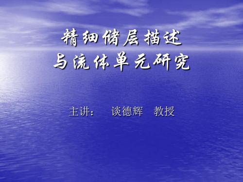 精细储层描述与流动单元研究 (NXPowerLite)