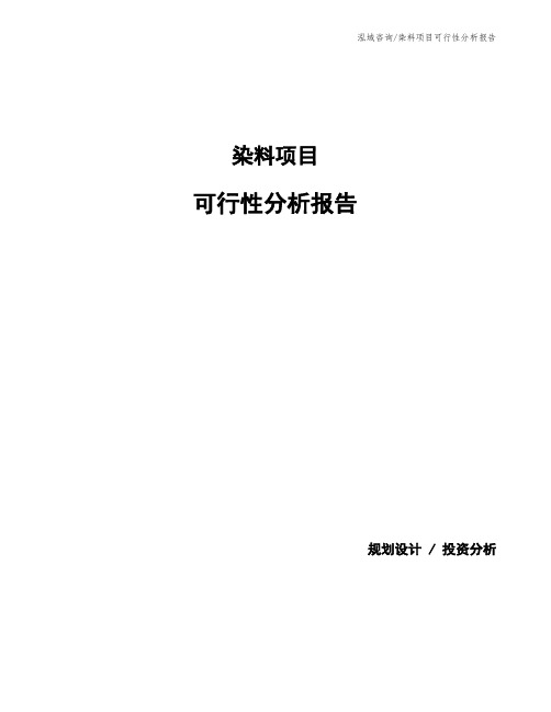 染料项目可行性分析报告