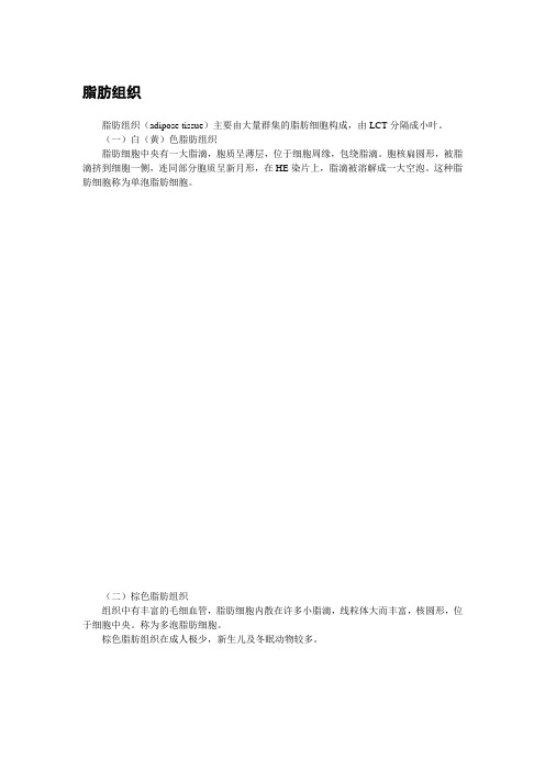 脂母细胞的诊断标准