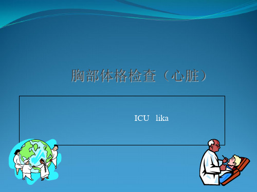 胸部体格检查(含心脏)
