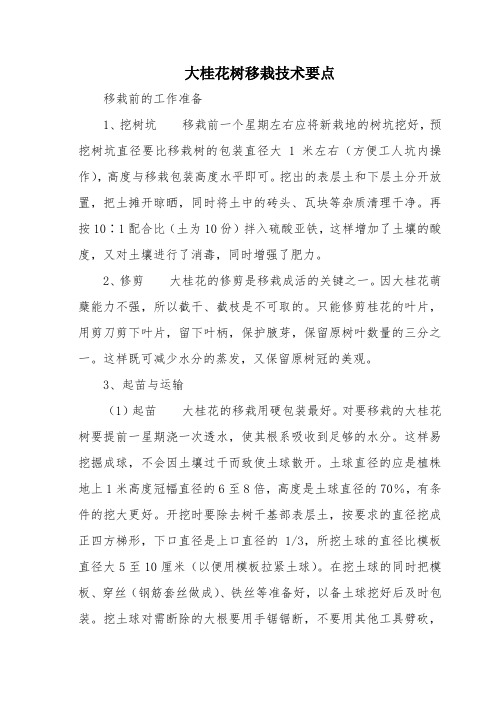 大桂花树移栽技术要点