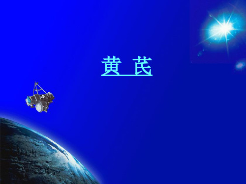 黄芪