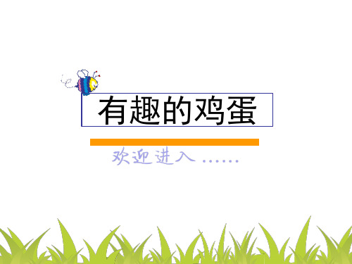 有趣的实验PPT