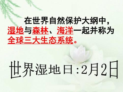 湘教版必修三2.2湿地资源的开发与保护――以洞庭湖区为例 课件(共48张PPT)