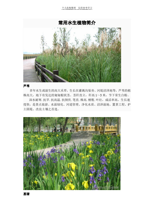 水生植物收集
