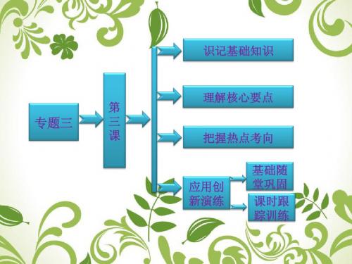 2013高中历史 专题三 民主力量与专制势力的较量 第三课 法国人民的民主追求课件 人民版选修2