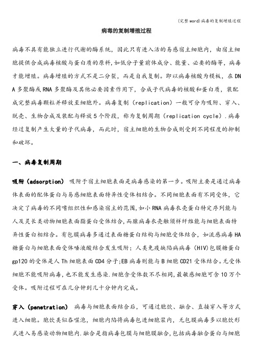 (完整word)病毒的复制增殖过程