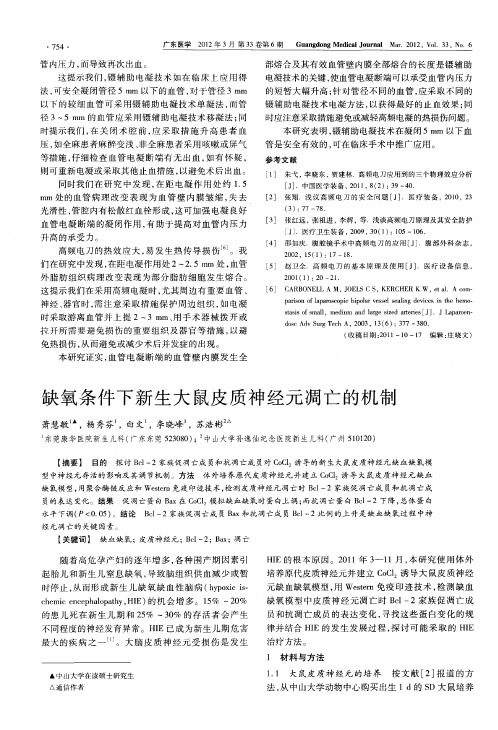 缺氧条件下新生大鼠皮质神经元凋亡的机制