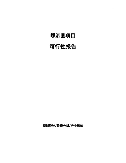 嵊泗县项目可行性报告(立项模板)