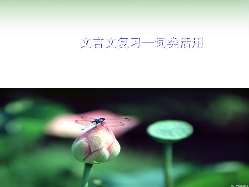 高中语文必修一课件：文言文词类活用19PPT