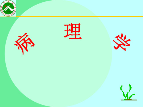 局部血液循环PPT课件