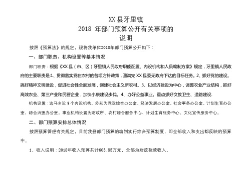 镇2018年部门预算公开有关事项的说明【模板】