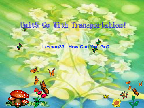 冀教版英语八下Unit5GowithTransportationLesson3336