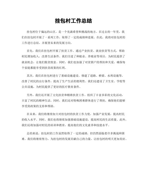 挂包村工作总结