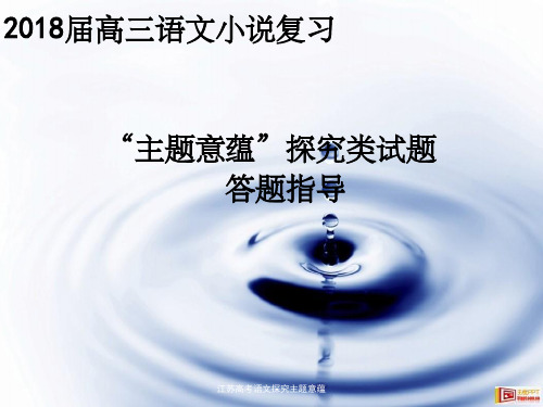 江苏高考语文探究主题意蕴