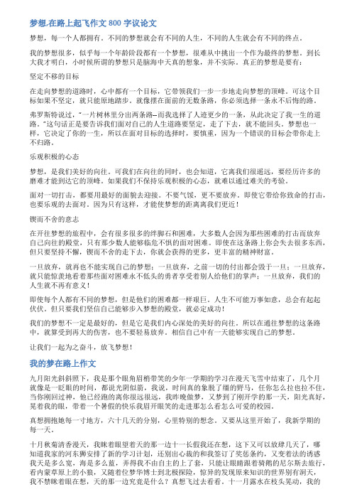 梦想在路上高中范文