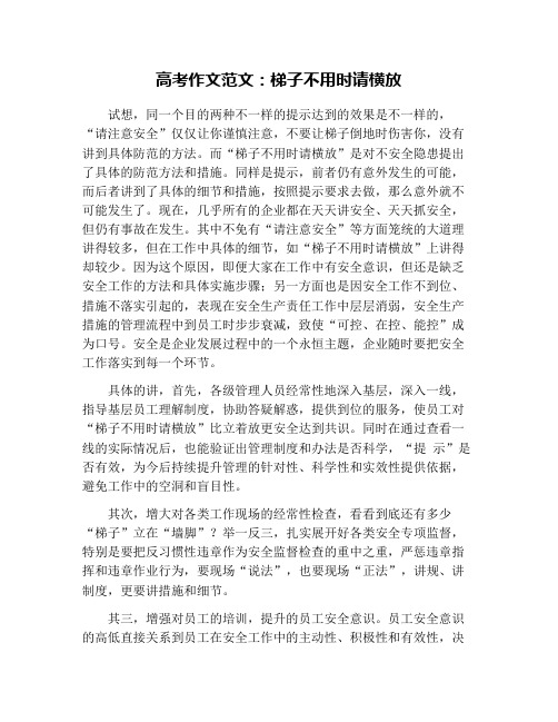 高考作文范文：梯子不用时请横放