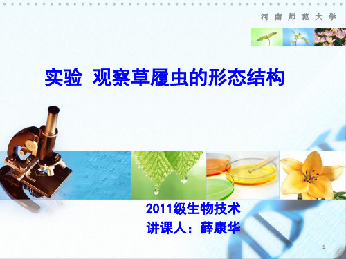 实验   观察草履虫的形态结构