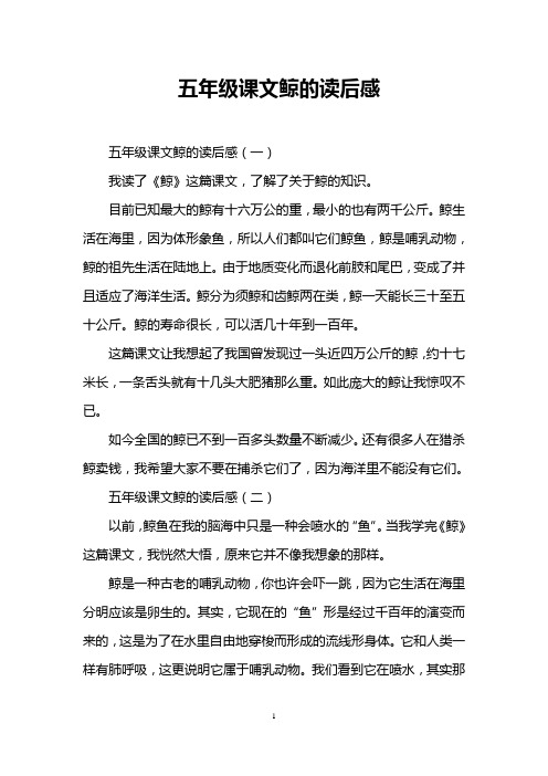 五年级课文鲸的读后感