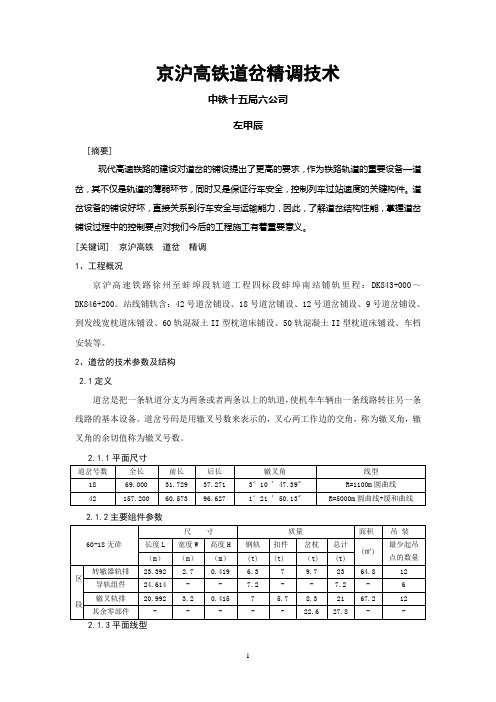 22京沪高铁道岔精调技术