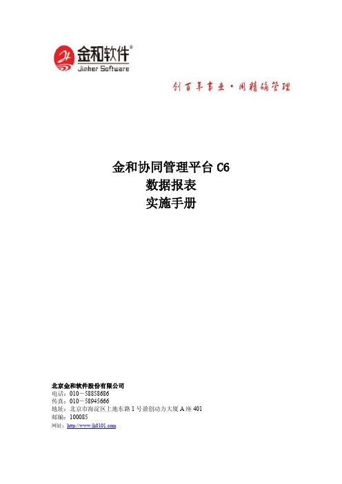 C6V2.6数据报表实施手册v1.0