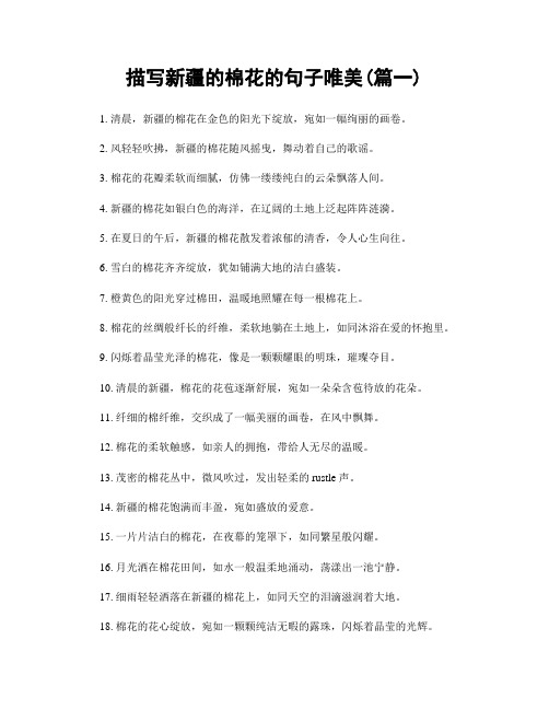 描写新疆的棉花的句子唯美(精选合集2篇)