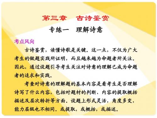 高考语文复习79：理解诗意3