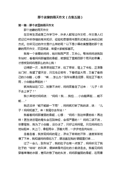 那个迷蒙的雨天作文（合集五篇）