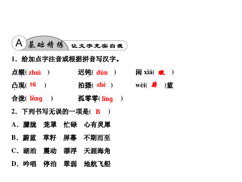 2019春人教部编版七年级语文下册复习课件：第6单元 23 带上她的眼睛(共16张PPT)