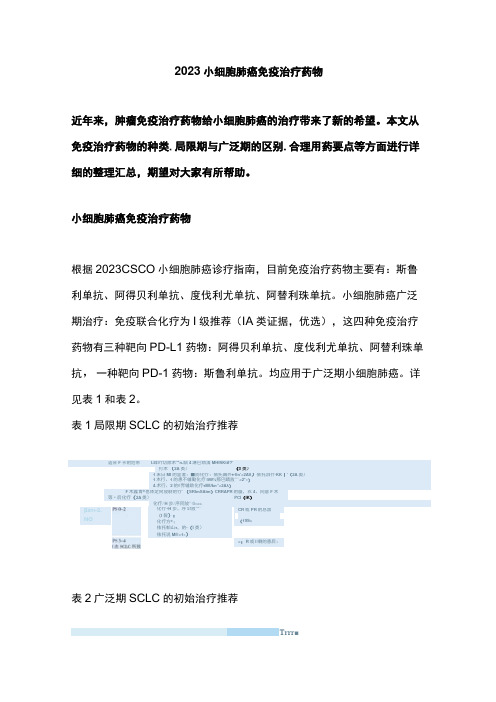 2023小细胞肺癌免疫治疗药物