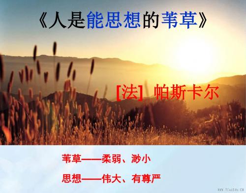 语文必修ⅴ苏教版第四专题版块二《人是能思想的芦苇》课件.