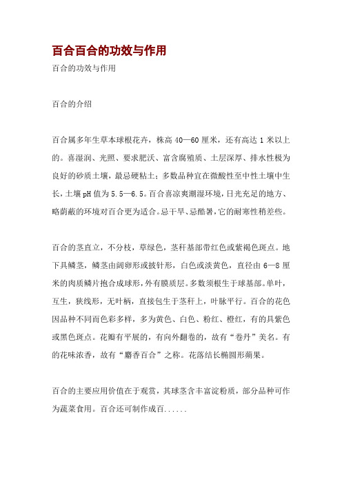 百合百合的功效与作用