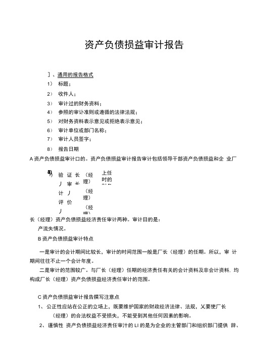 资产负债损益审计报告