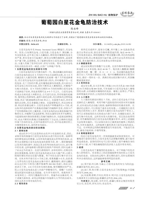 葡萄园白星花金龟防治技术