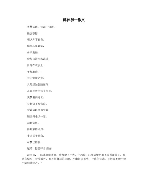 碎梦初一作文