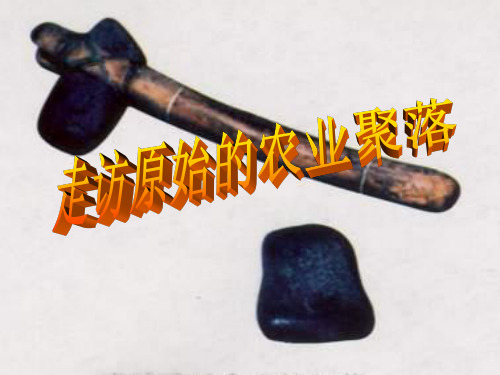 走访原始的农业聚落上课新教材_修改 ppt课件