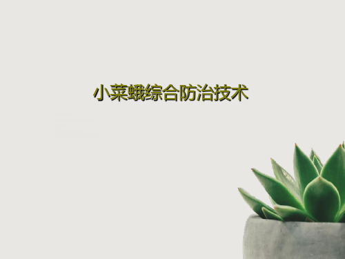 小菜蛾综合防治技术共31页