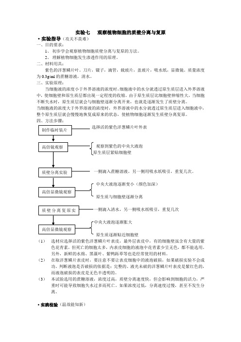 试验七观察植物细胞的质壁分离与复原