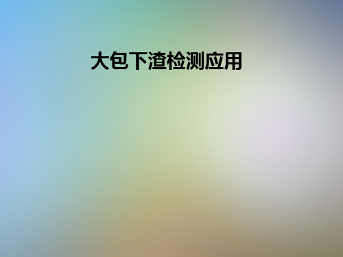 大包下渣检测应用
