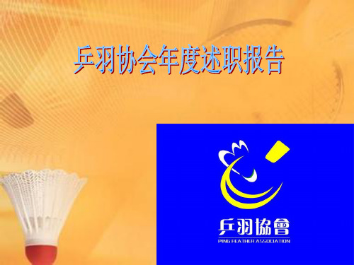 乒羽协会述职报告