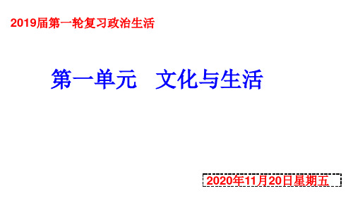 高考政治一轮复习必修文化生活文化与社会课件