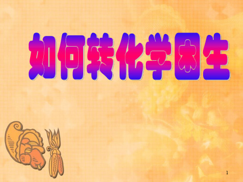 学困生转化讲座pp课件
