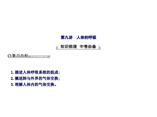 中考总复习生物人教课件：第九讲 人体的呼吸