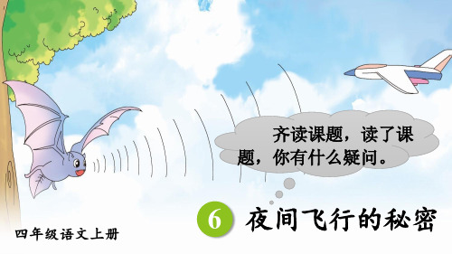 统编版四年级语文上册第6课《夜间飞行的秘密》优质课件【最新】