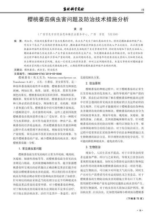 樱桃番茄病虫害问题及防治技术措施分析