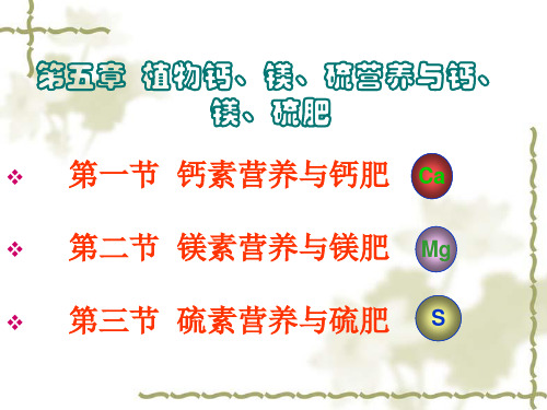 第五章 钙肥、镁肥及硫肥