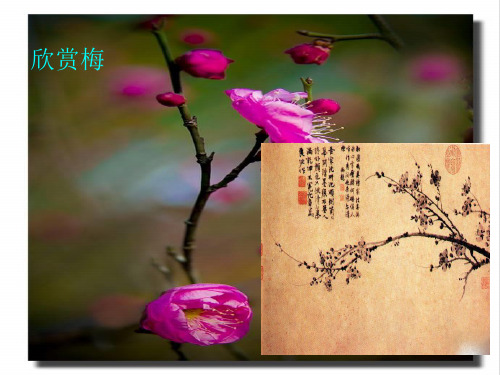 (赛课课件)北师大版 六年级上册语文《墨梅图题诗》  (共12张PPT)