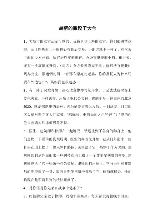 最新的微段子大全