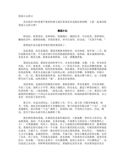 菜园小记原文
